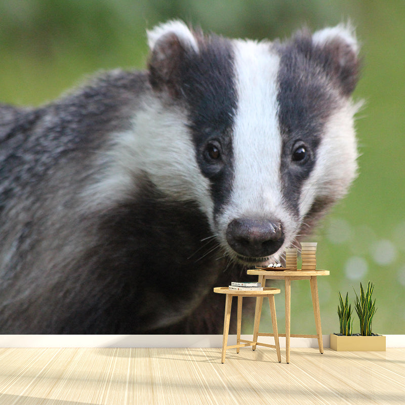 Badger Contemporary Wall Mural Modernist Wall Covering for Bedroom Decor