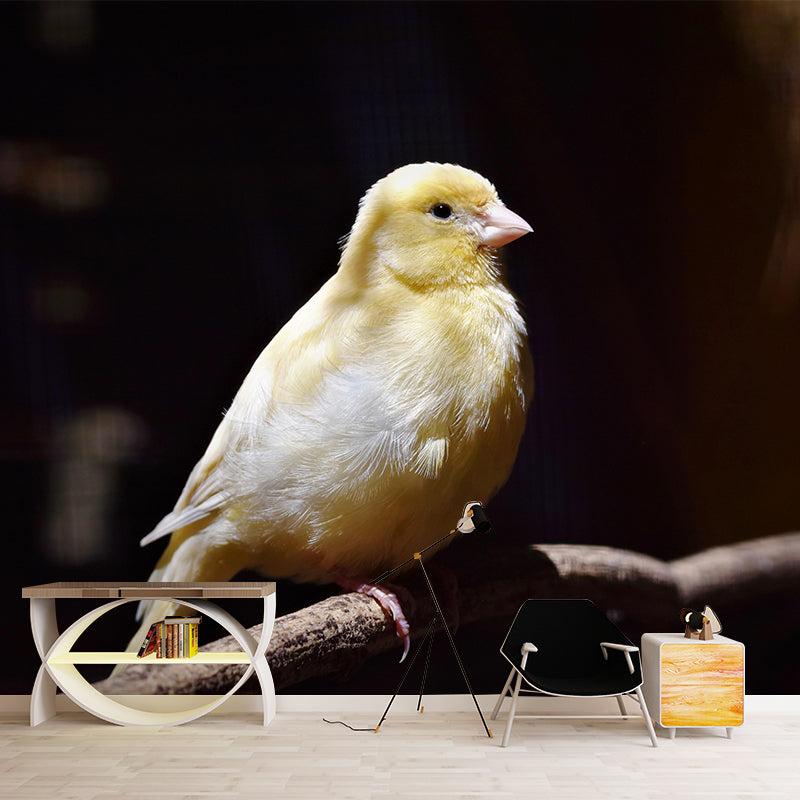 Canary Contemporary Wall Mural Modernist Wall Covering for Bedroom Decor