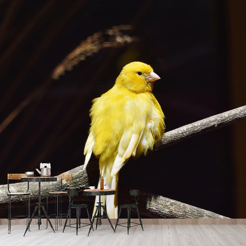 Canary Contemporary Wall Mural Modernist Wall Covering for Bedroom Decor