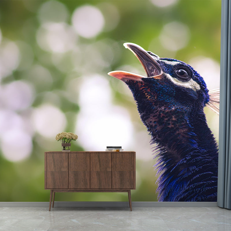 Photography Peacock Mural Decorative Wallpaper Decor for Living Room Bedroom