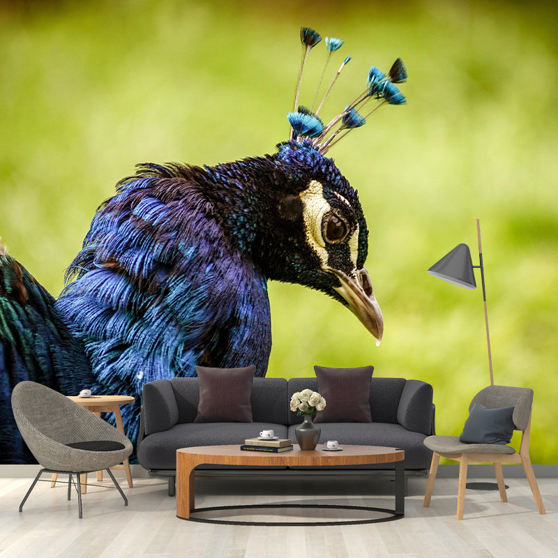 Photography Peacock Mural Decorative Wallpaper Decor for Living Room Bedroom