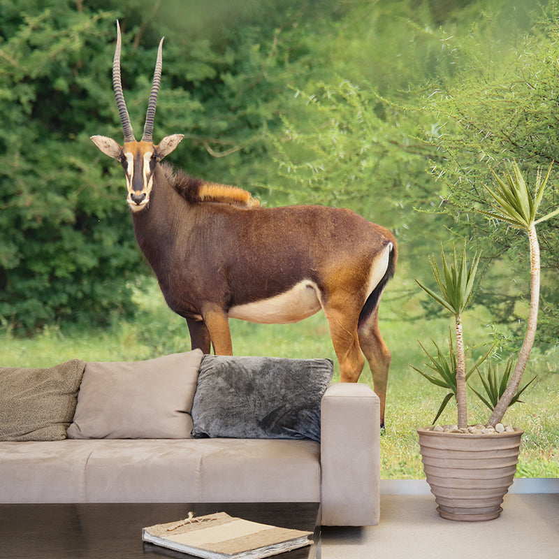 Photography Gazelle Mural Wallpaper for Sitting Room Decor Multiple Sizes Available