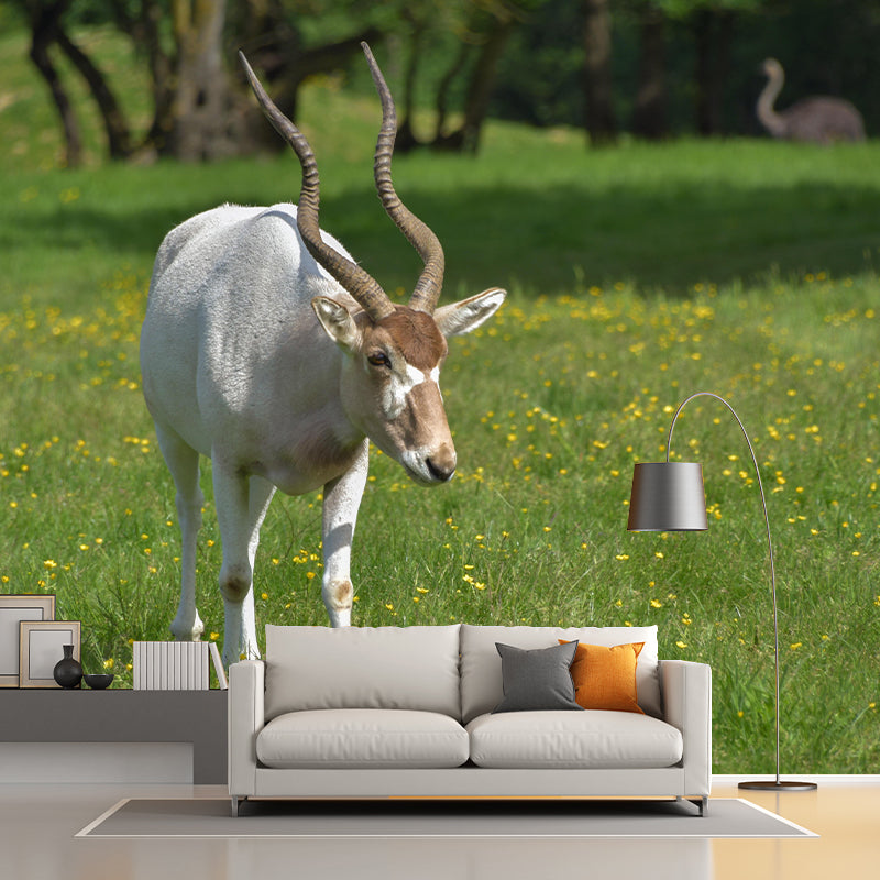 Photography Gazelle Mural Wallpaper for Sitting Room Decor Multiple Sizes Available