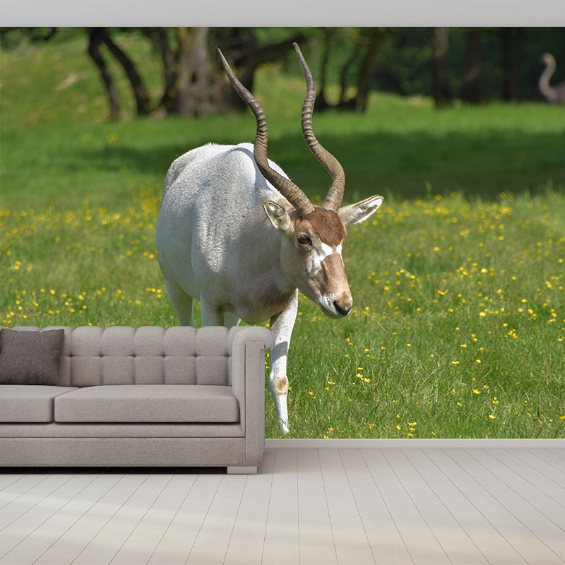 Photography Gazelle Mural Wallpaper for Sitting Room Decor Multiple Sizes Available