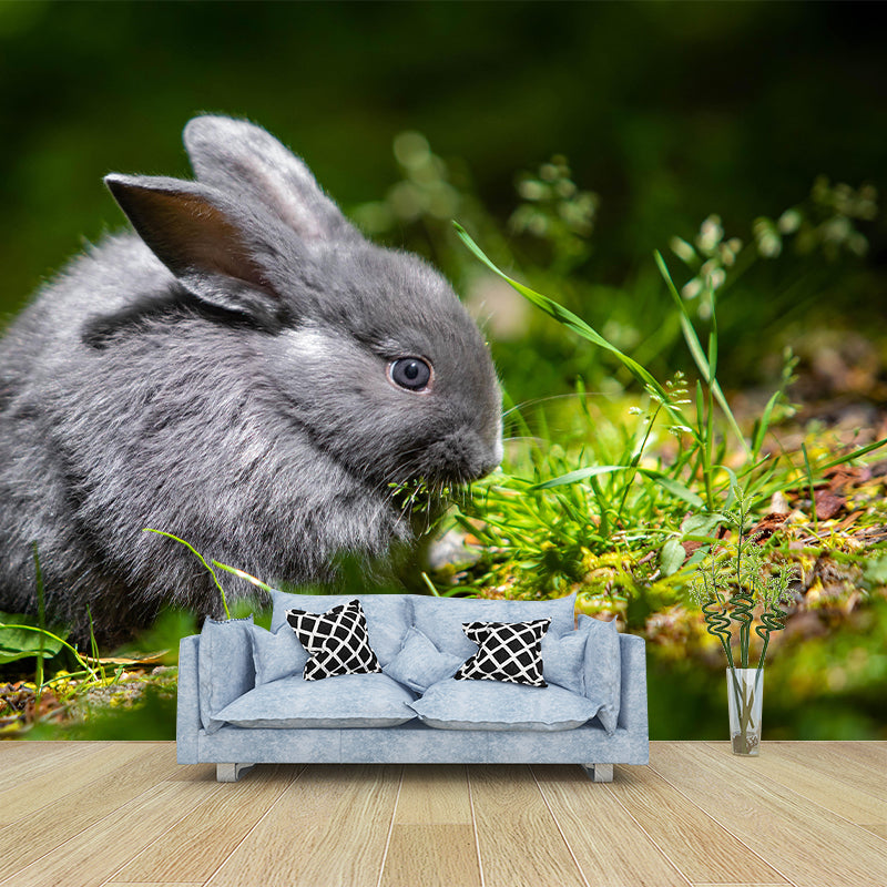 Chinchilla Rabbit Contemporary Wall Mural Modernist Wall Covering for Bedroom Decor