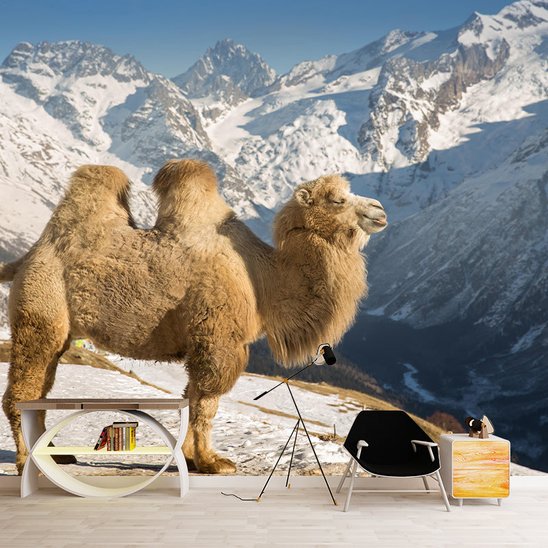 Photography Camel Mural Wallpaper for Sitting Room Decor Multiple Sizes Available
