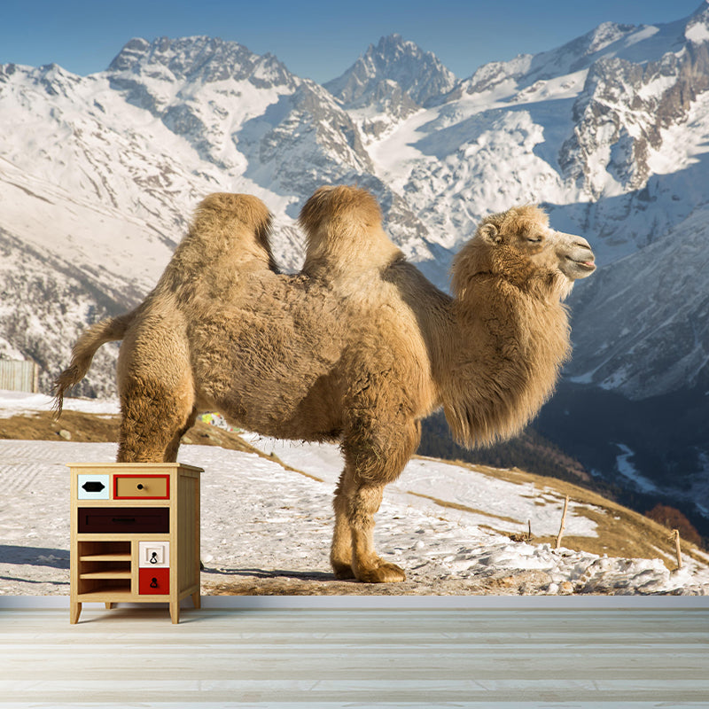 Photography Camel Mural Wallpaper for Sitting Room Decor Multiple Sizes Available