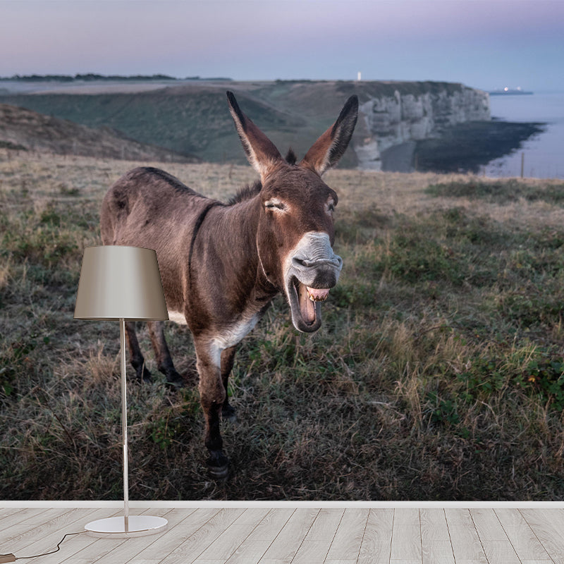 Donkey Mural Wallpaper Wall Covering Mildew Resistant for Sleeping Room
