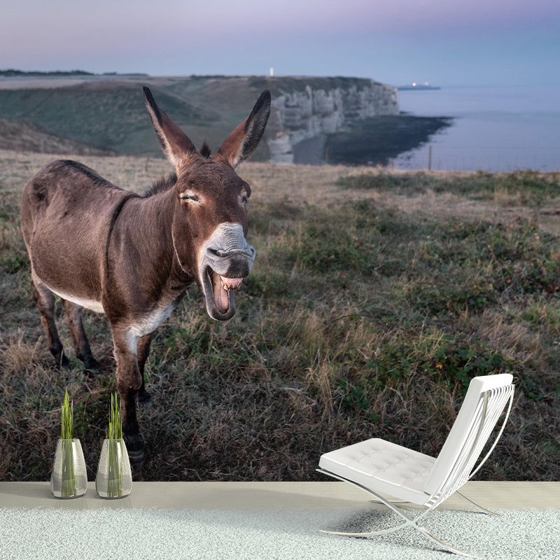 Donkey Mural Wallpaper Wall Covering Mildew Resistant for Sleeping Room