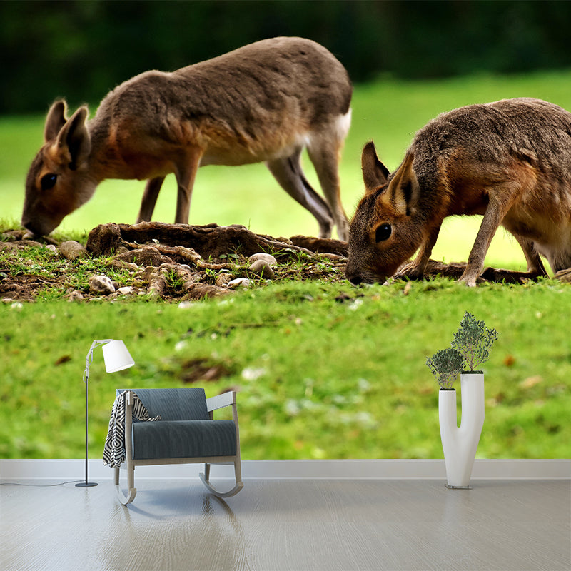 Photography Pampas Rabbit Mural Decorative Wallpaper Decor for Living Room