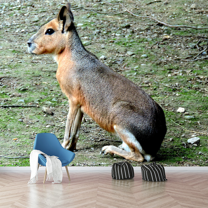 Photography Pampas Rabbit Mural Decorative Wallpaper Decor for Living Room