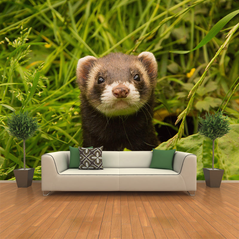 Cute Ferret Mural Wallpaper Wall Covering Mildew Resistant for Sleeping Room