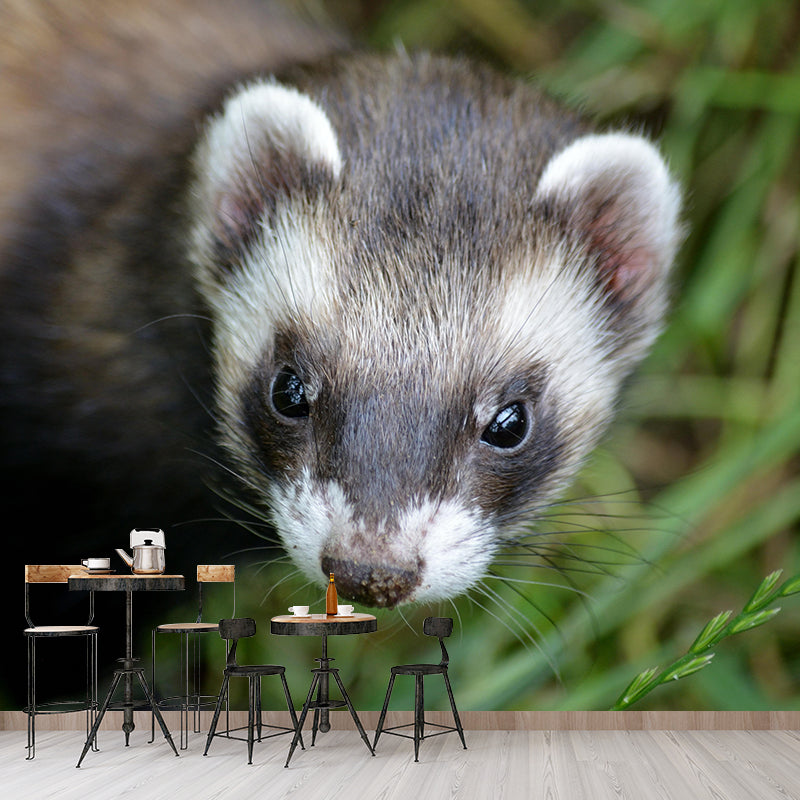 Cute Ferret Mural Wallpaper Wall Covering Mildew Resistant for Sleeping Room