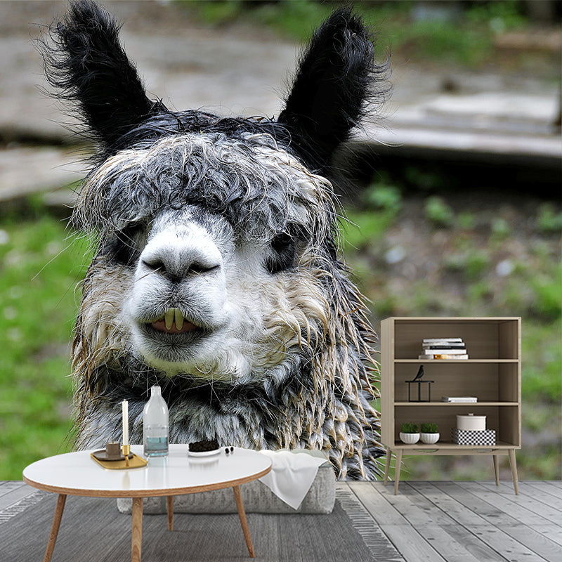 Cute Alpaca Mural Wallpaper Wall Covering Mildew Resistant for Sleeping Room