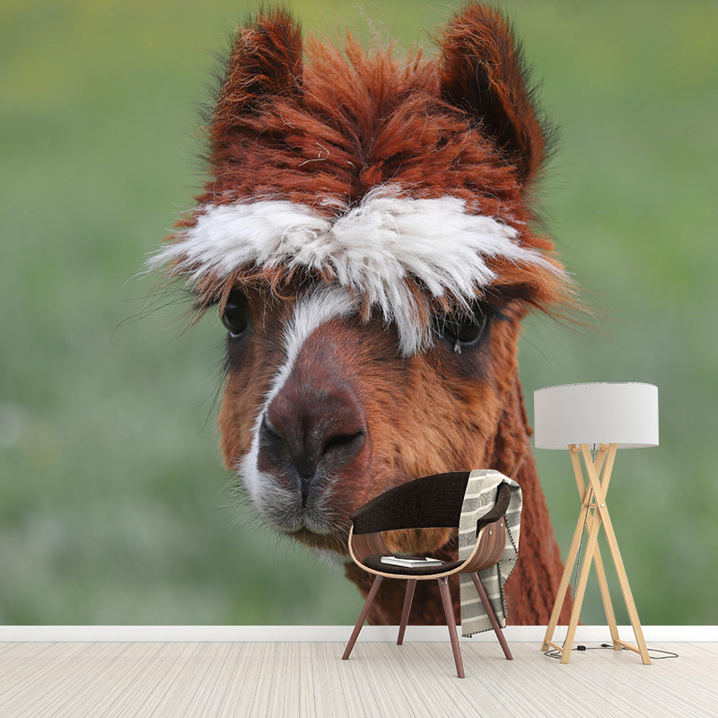 Cute Alpaca Mural Wallpaper Wall Covering Mildew Resistant for Sleeping Room