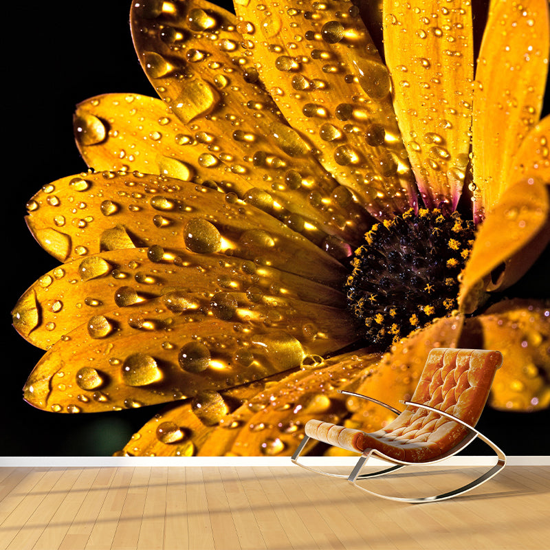 Photography Daisy Mural Wallpaper for Sitting Room Decor Multiple Sizes Available