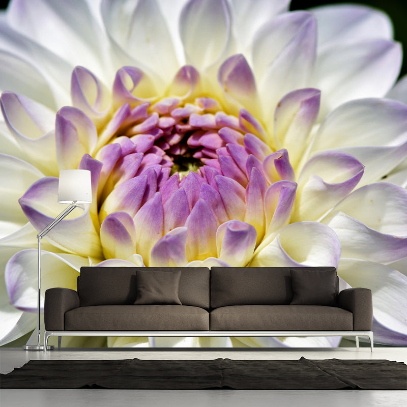 Dahlia Mural Wallpaper Wall Covering Mildew Resistant for Sleeping Room