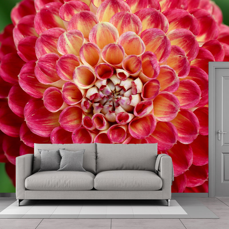 Dahlia Mural Wallpaper Wall Covering Mildew Resistant for Sleeping Room