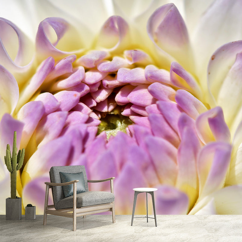 Dahlia Mural Wallpaper Wall Covering Mildew Resistant for Sleeping Room