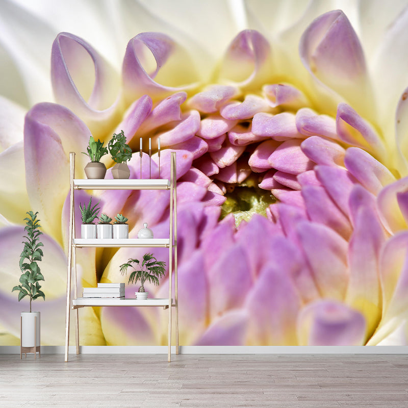 Dahlia Mural Wallpaper Wall Covering Mildew Resistant for Sleeping Room