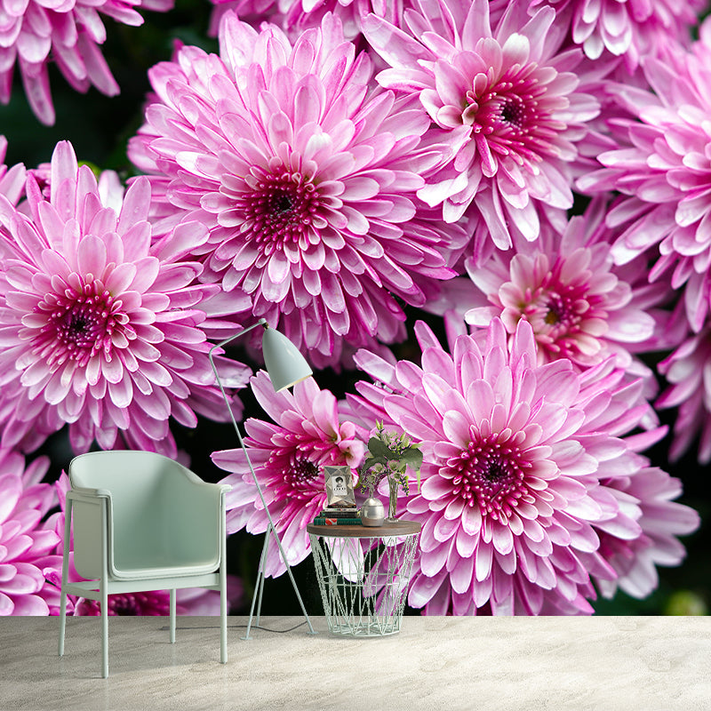 Gerbera Flower Mural Wallpaper Wall Covering Mildew Resistant for Sleeping Room
