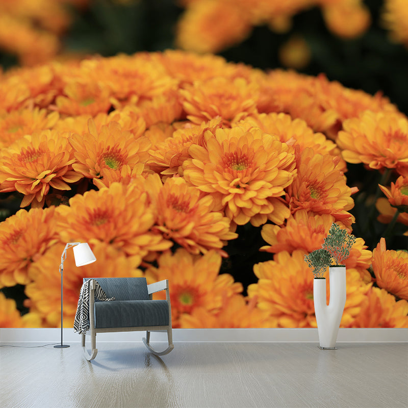 Gerbera Flower Mural Wallpaper Wall Covering Mildew Resistant for Sleeping Room