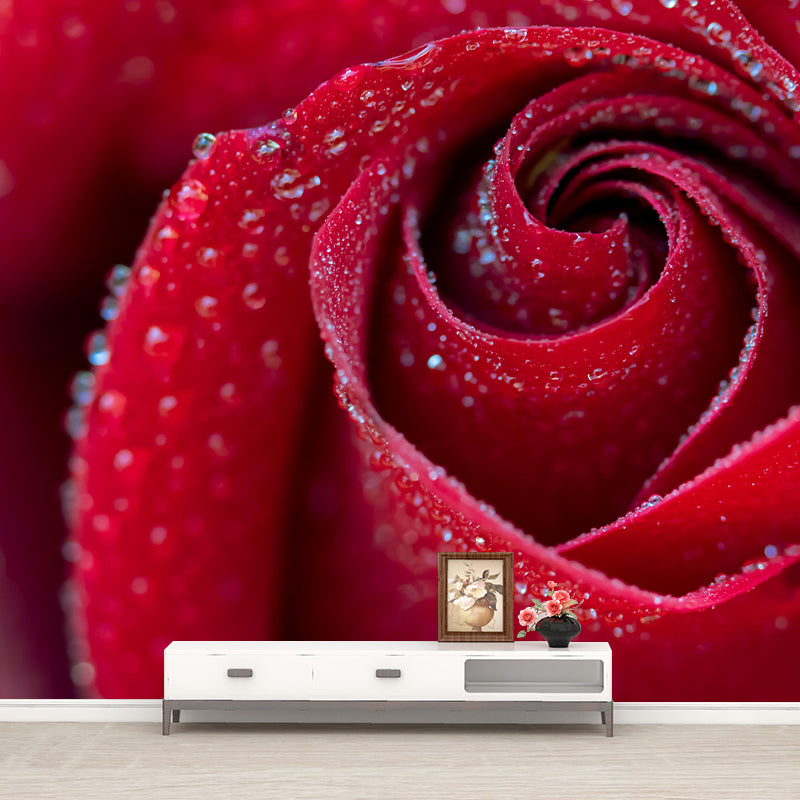 Partial Rose Contemporary Wall Mural Modernist Wall Covering for Bedroom