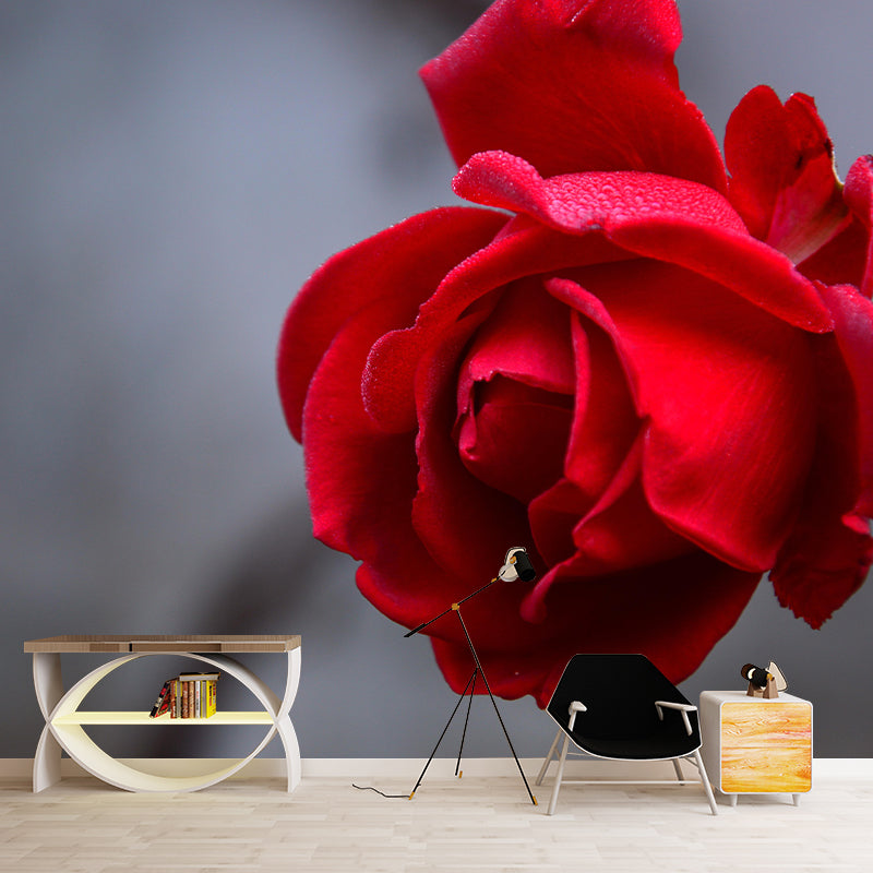 Photography Rose Mural Wallpaper for Sitting Room Decor Multiple Sizes Available