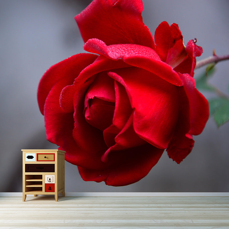 Photography Rose Mural Wallpaper for Sitting Room Decor Multiple Sizes Available