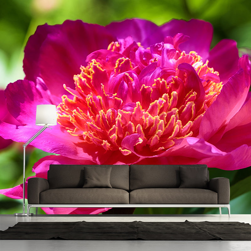 Peony Mural Wallpaper Wall Covering Mildew Resistant for Sleeping Room