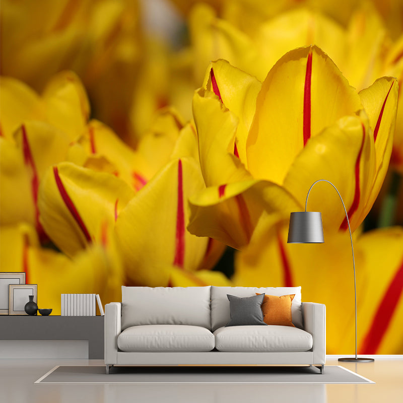 Tulips Mural Wallpaper Wall Covering Mildew Resistant for Sleeping Room