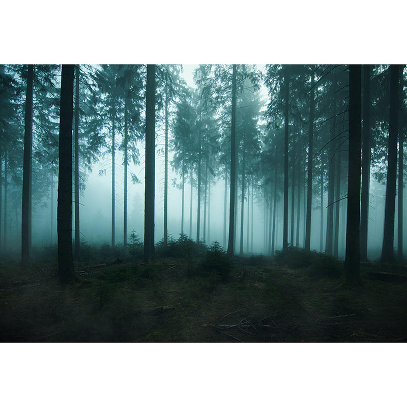 Photography Dark Forest Mural Wallpaper for Sitting Room Decor Multiple Sizes Available