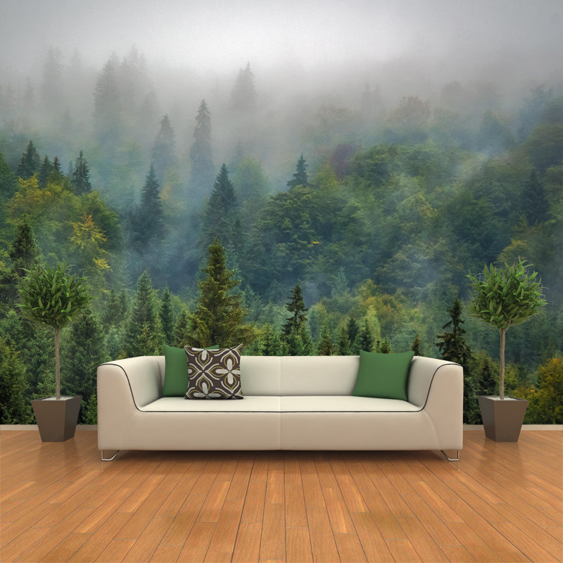 Photography Beautiful Forest View Mural Decorative Wallpaper Decor for Living Room