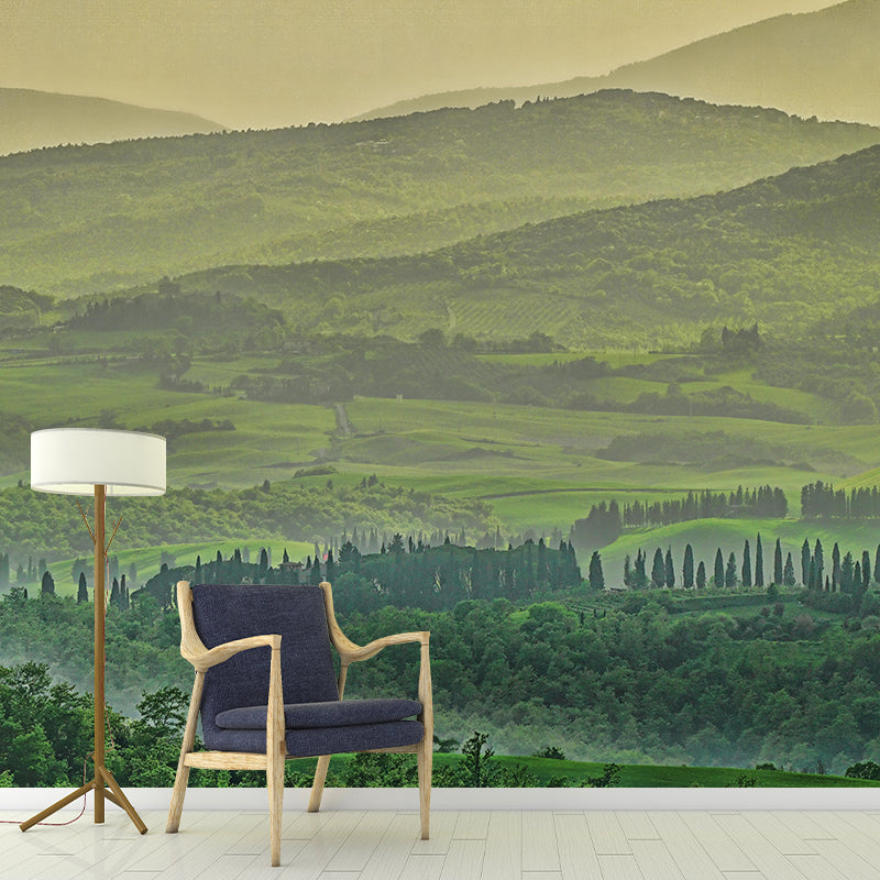 Photography Beautiful Forest View Mural Decorative Wallpaper Decor for Living Room