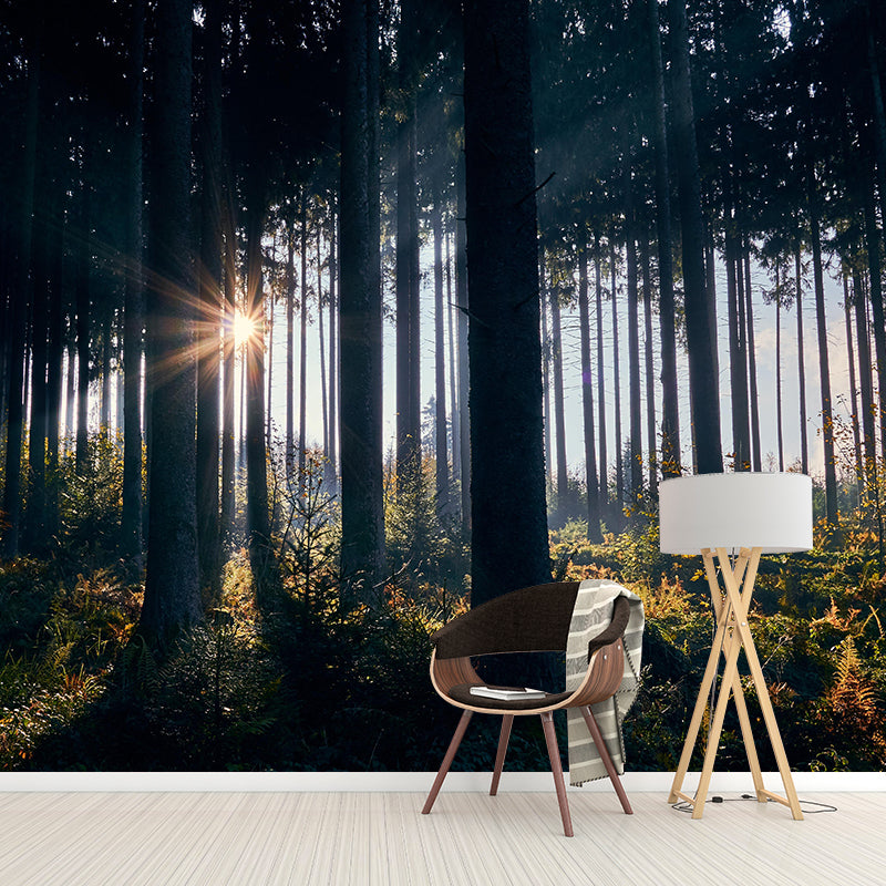 Photography Forest Mural Wallpaper for Sitting Room Decor Multiple Sizes Available