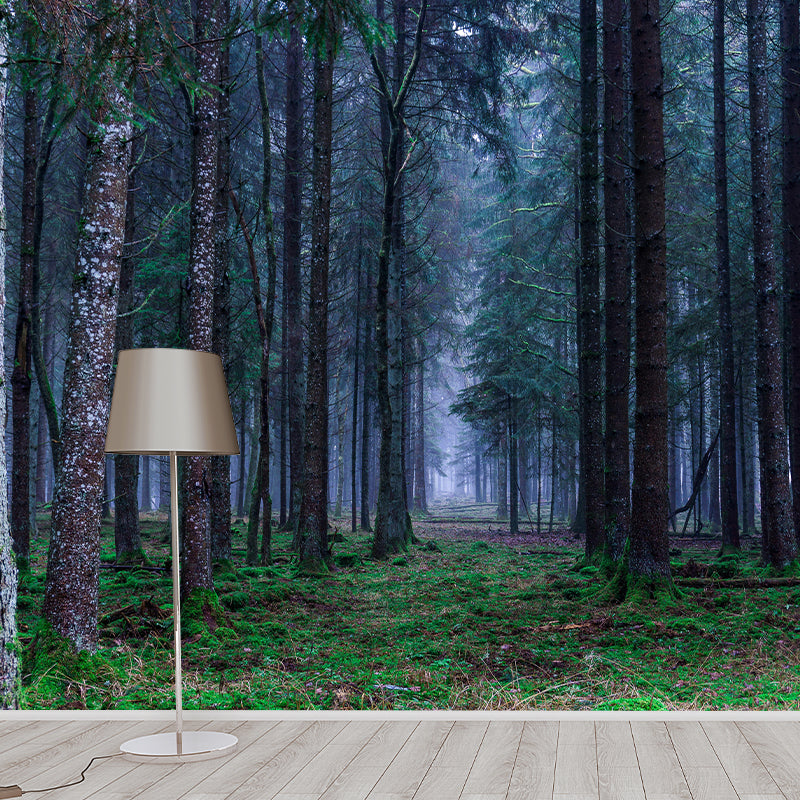 Photography Forest Mural Wallpaper for Sitting Room Decor Multiple Sizes Available