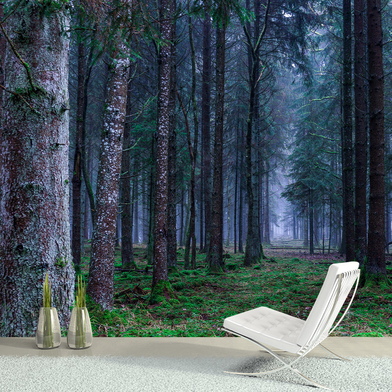 Photography Forest Mural Wallpaper for Sitting Room Decor Multiple Sizes Available