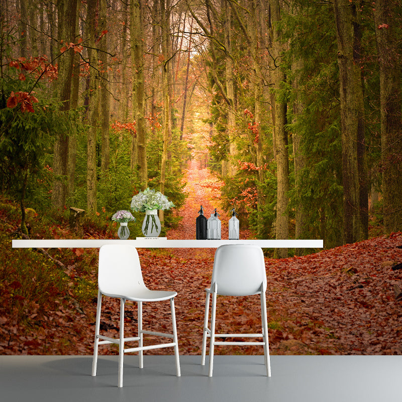 Photography Forest Mural Wallpaper for Sitting Room Decor Multiple Sizes Available
