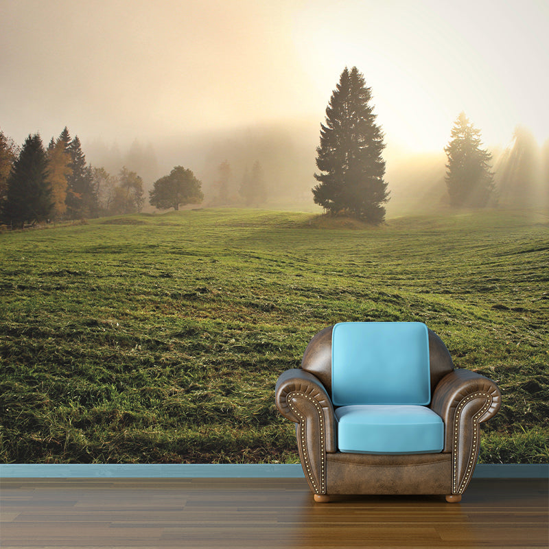 Foggy Forest Mural Wallpaper Wall Covering Mildew Resistant for Sleeping Room