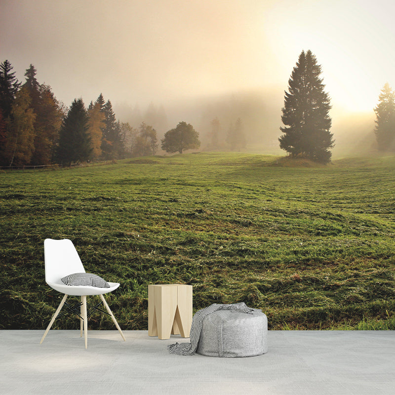 Foggy Forest Mural Wallpaper Wall Covering Mildew Resistant for Sleeping Room