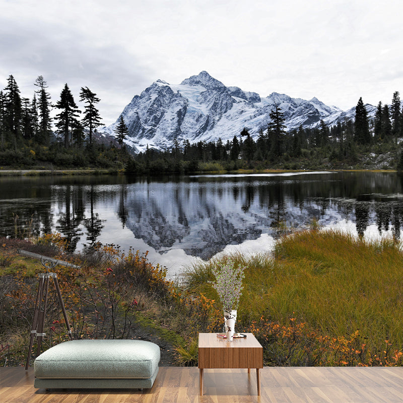 Photography Mural Wallpaper for Sitting Room Decor Multiple Sizes Available