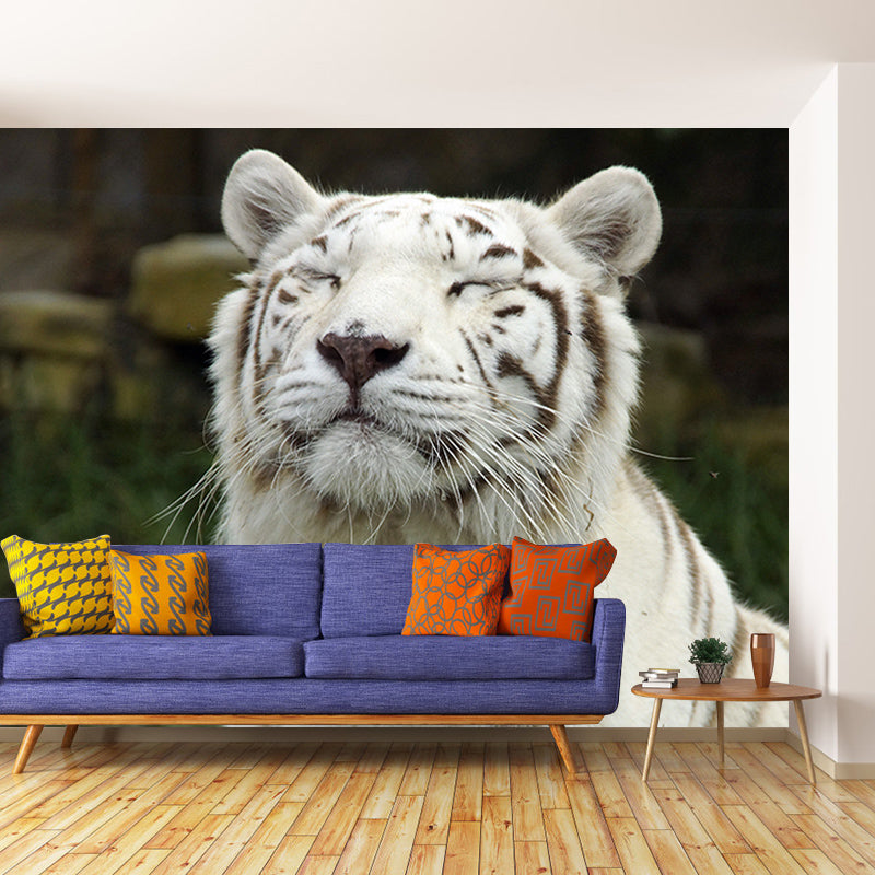 Tiger Jungle Animal Mural Decal Modern Mildew Resistant for Sitting Room