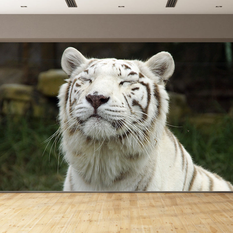 Tiger Jungle Animal Mural Decal Modern Mildew Resistant for Sitting Room