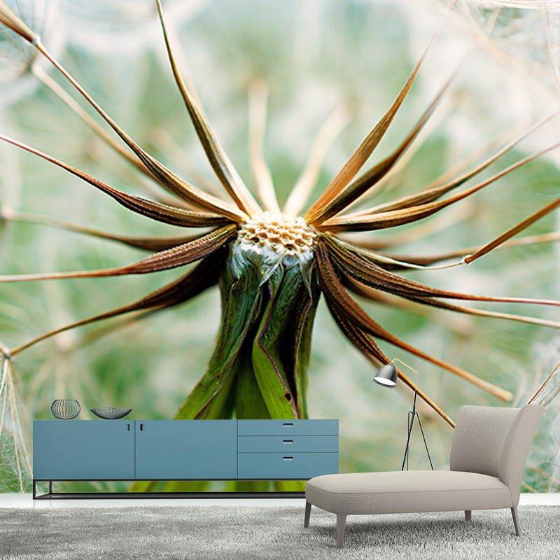 White Dandelion Mural Wallpaper Moisture Resistant Wall Art for Living Room
