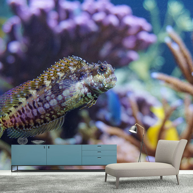 Seabed Creatures Mural Wallpaper for Playroom Stain Resistant, Personalized Size