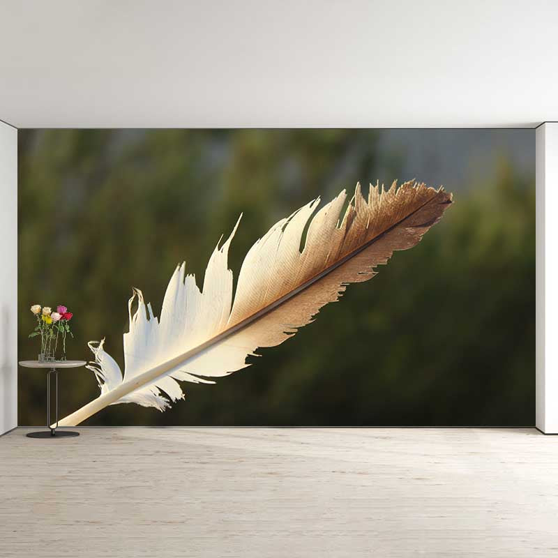 Feather Wall Mural Decal Girls' Bedroom Stain Resistant Wall Covering, Made to Measure