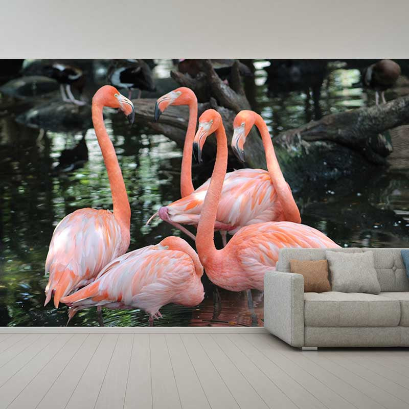 Full Size Flamingo Mural Wallpaper Stain Resistant for Home Wall Decor