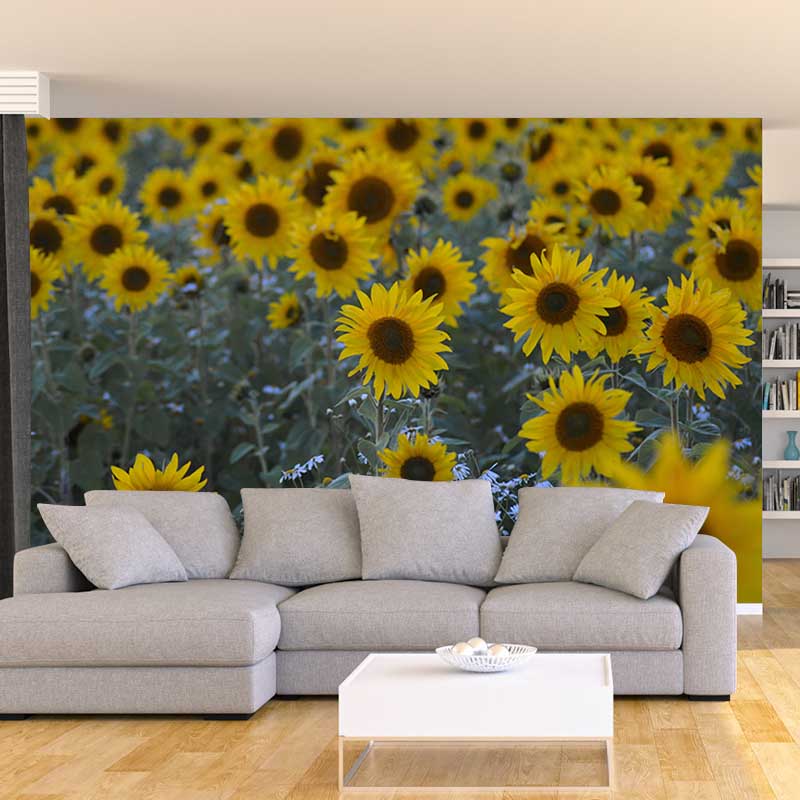 Sunflower Wall Decals Removable Yellow Flower Wall Covering for Sitting Room