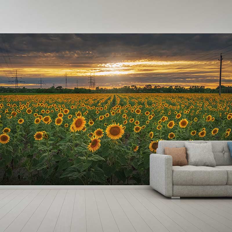 Sunflower Wall Decals Removable Yellow Flower Wall Covering for Sitting Room