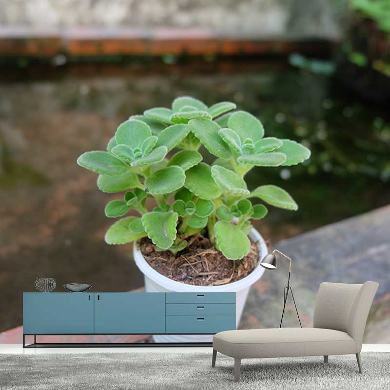 Green Plant Wall Mural for Study Room Home Decor, Personalized Size Available